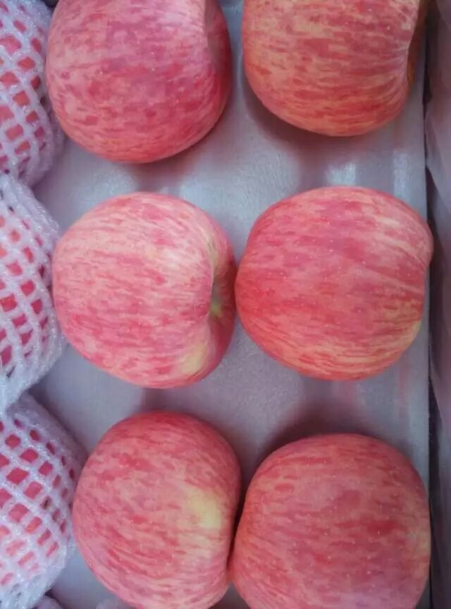 农邦果园休闲水果