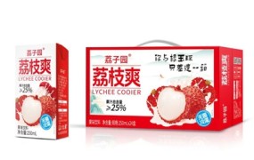 荔子园荔枝爽250ml×24