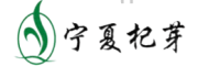 枸杞芽茶