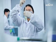为国货好品牌松达点赞！央视网《了不起的中国山茶油》正式开播