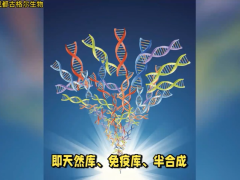 纳米抗体库的类型：天然库、免疫库、合成库