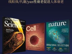 618预售战报出炉:派络维Pro登顶进口抗衰品类榜首,男性健康消费再迎爆发