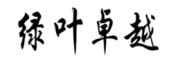 绿叶卓越