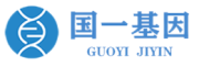 国一基因