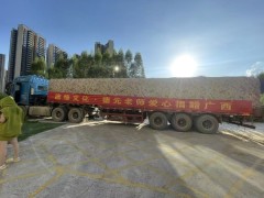 德缘文化-德元 爱心捐赠 驰援广西抗洪救灾