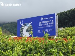 瑞幸“秋一杯”单日销量达2500万杯，健康化茶饮战略持续深入