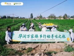从治沙到兴乡，华润万家深入甘肃民勤探寻蜜瓜产业背后的乡土坚守