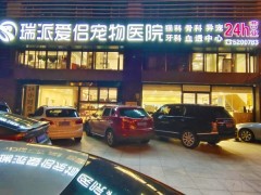 对话瑞派宠物医生：小众赛道上的执着坚守，为生命科学“兜底”