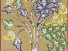 藏医专家解读痉挛性斜颈:很多人长久的困惑,看完豁然开朗