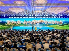 伊利金领冠「领婴汇」第七届母婴行业峰会暨伊利集团婴幼儿营养品事业部2027年客户大会隆重召开